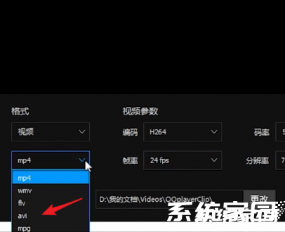 格式选择界面展示