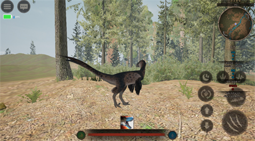 u6cf0u5766u4e4bu8defu65e0u9650u91d1u5e01u7248